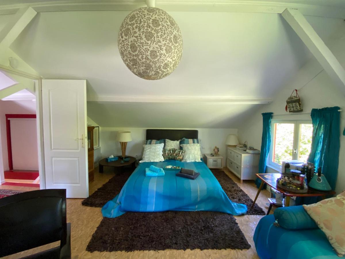 Apartmán Le Loft Au-Dessus Des Pins Lacanau Exteriér fotografie