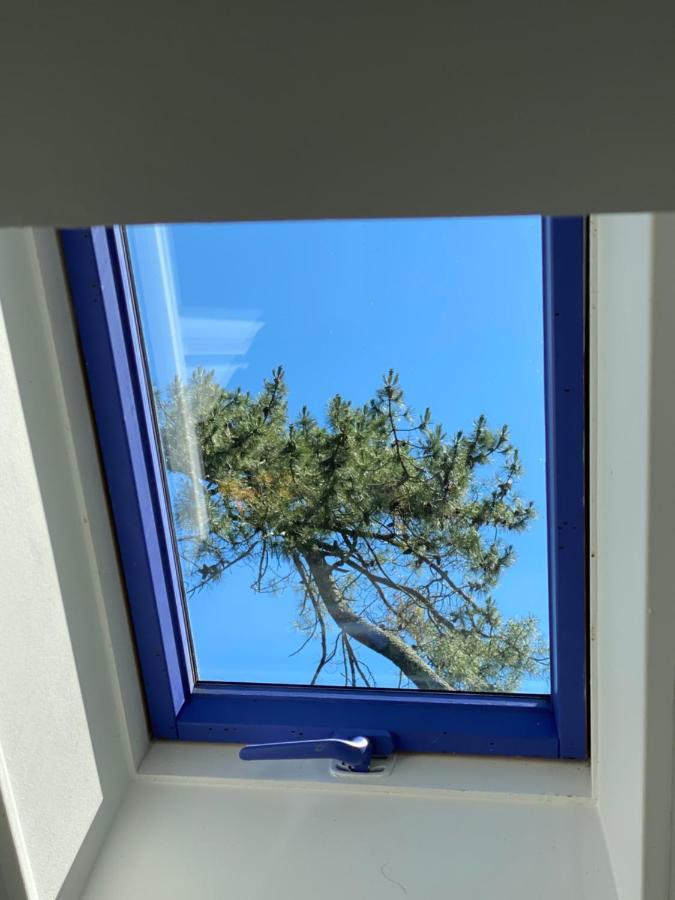 Apartmán Le Loft Au-Dessus Des Pins Lacanau Exteriér fotografie