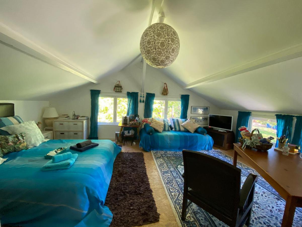 Apartmán Le Loft Au-Dessus Des Pins Lacanau Exteriér fotografie
