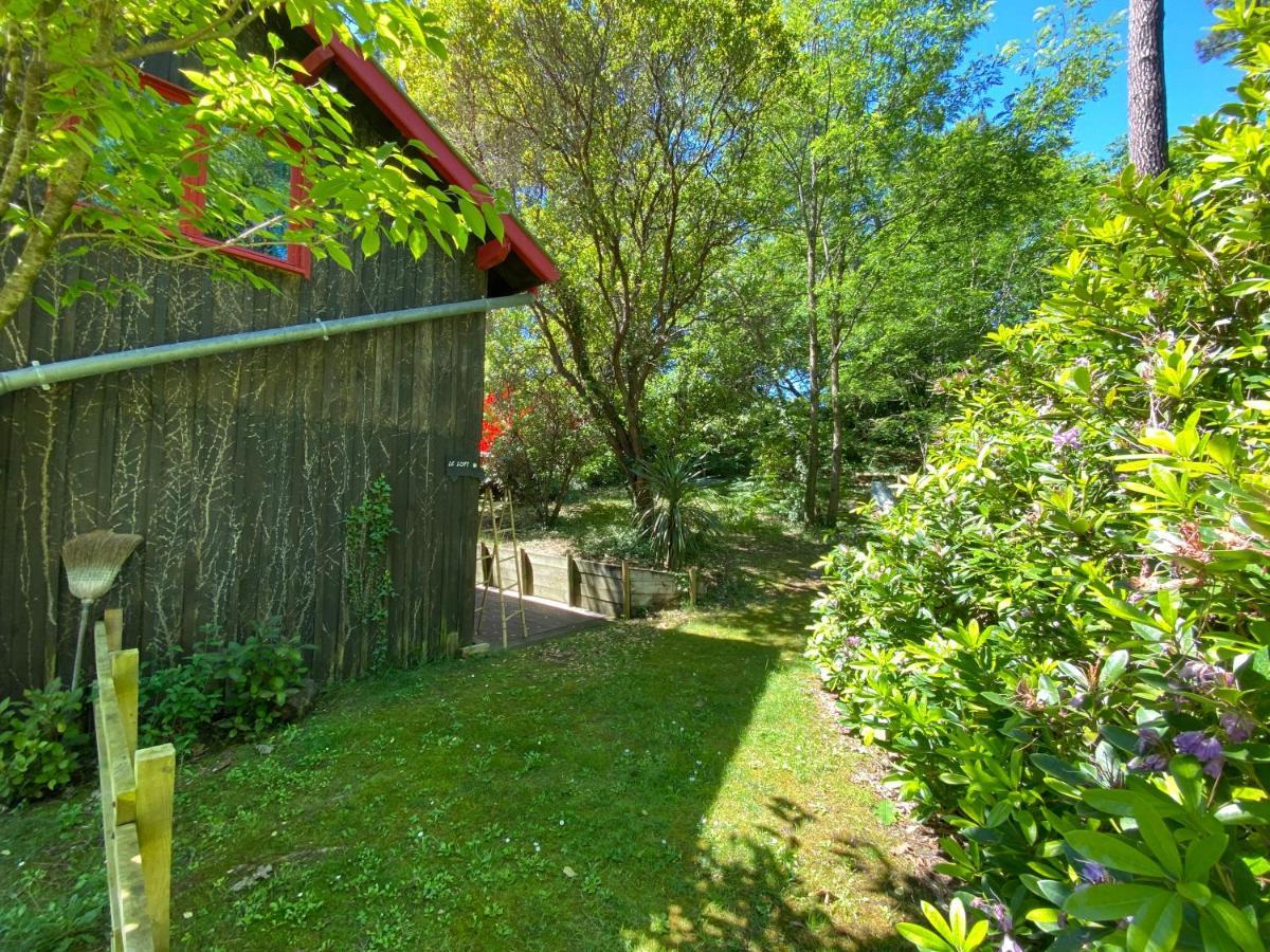 Apartmán Le Loft Au-Dessus Des Pins Lacanau Exteriér fotografie
