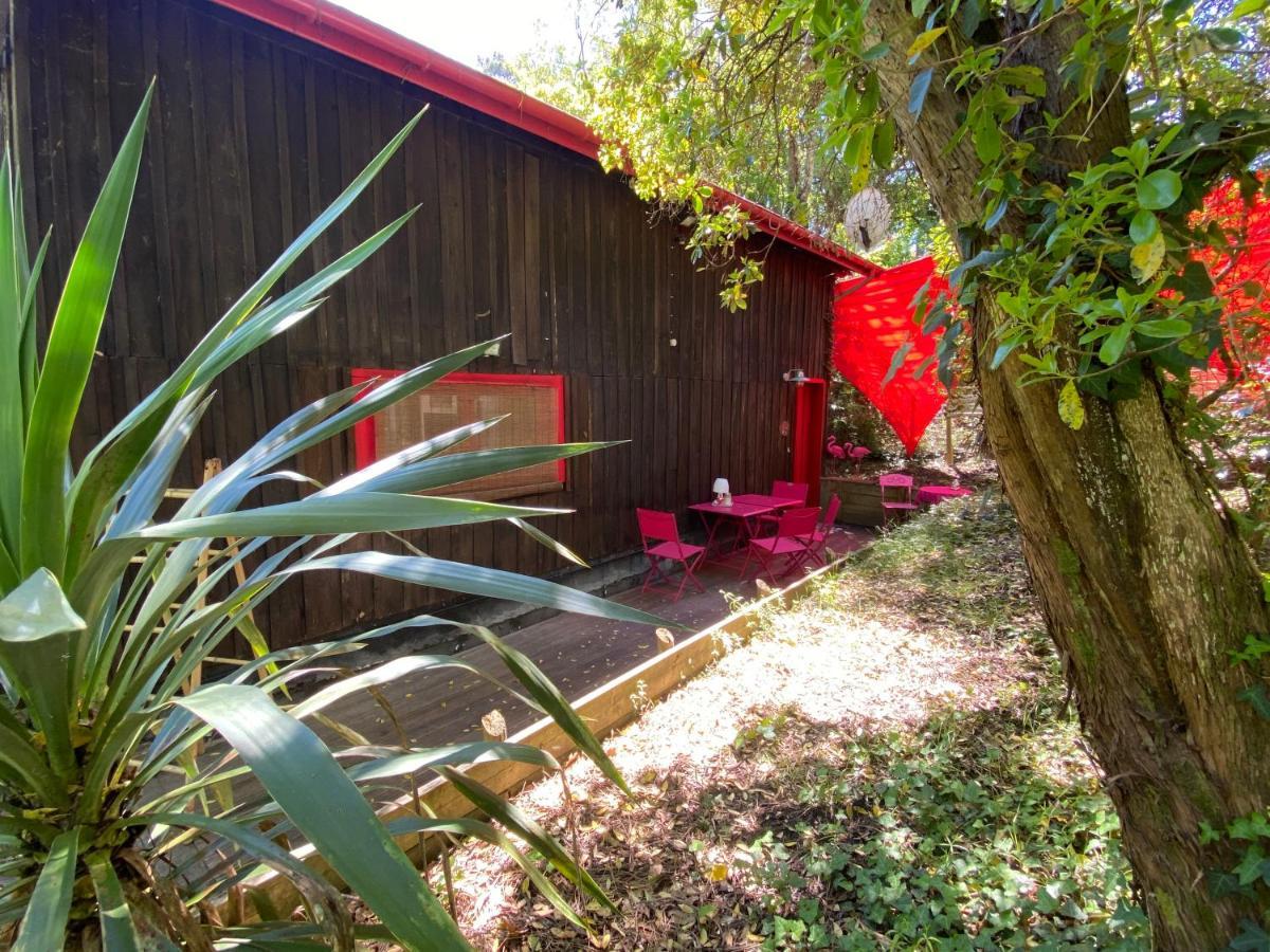 Apartmán Le Loft Au-Dessus Des Pins Lacanau Exteriér fotografie