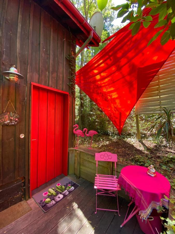 Apartmán Le Loft Au-Dessus Des Pins Lacanau Exteriér fotografie