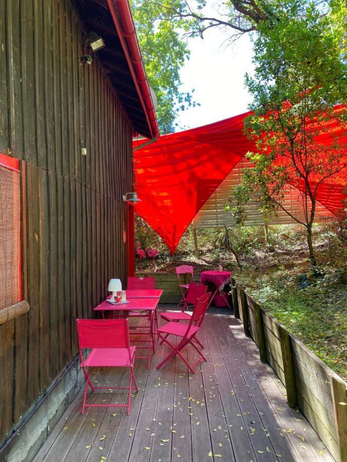 Apartmán Le Loft Au-Dessus Des Pins Lacanau Exteriér fotografie