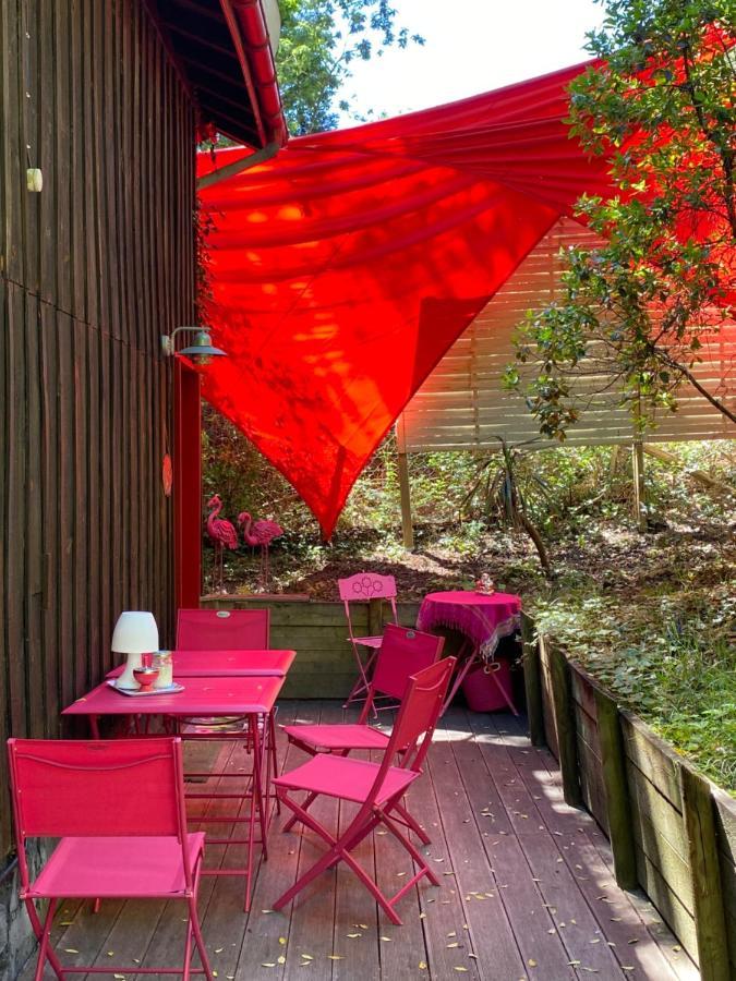 Apartmán Le Loft Au-Dessus Des Pins Lacanau Exteriér fotografie