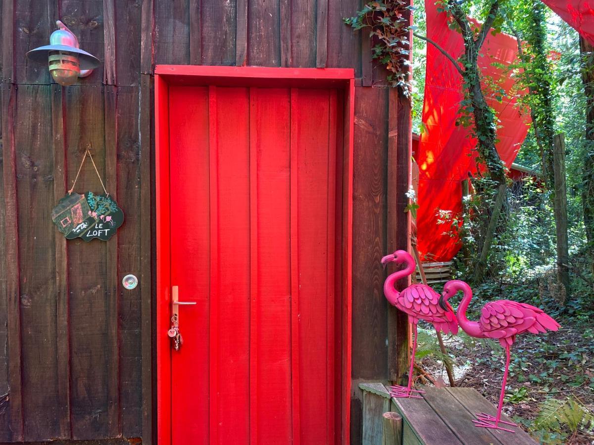 Apartmán Le Loft Au-Dessus Des Pins Lacanau Exteriér fotografie