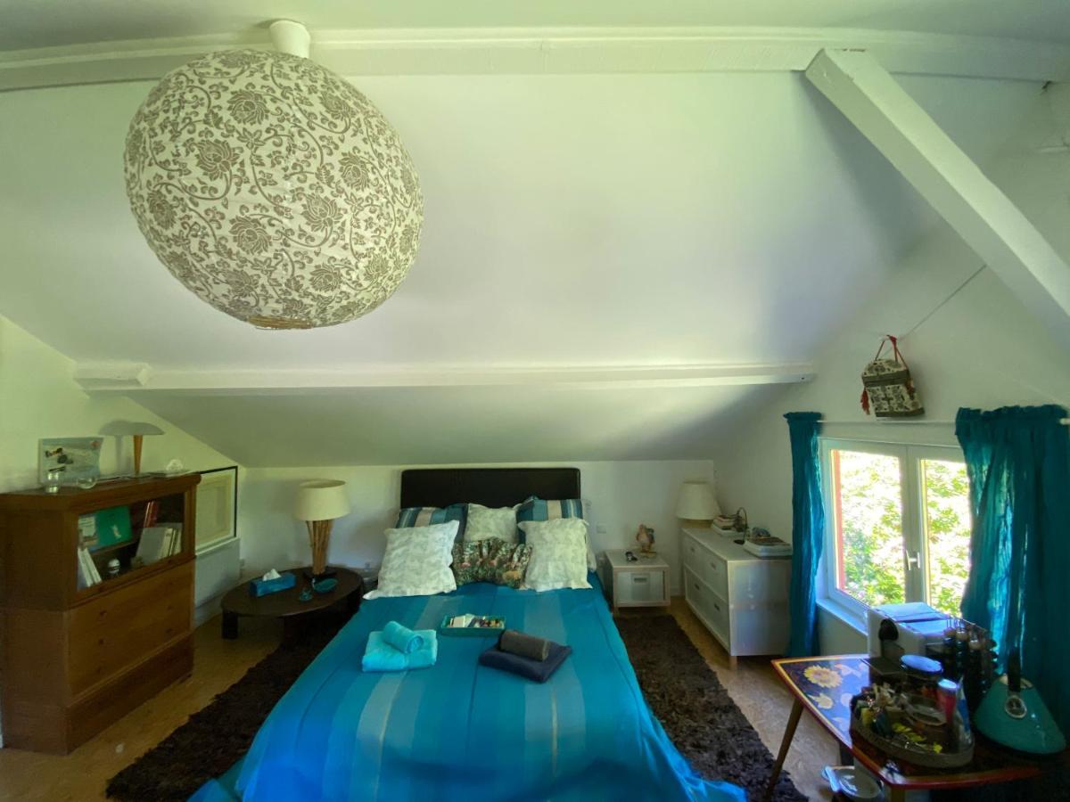 Apartmán Le Loft Au-Dessus Des Pins Lacanau Exteriér fotografie