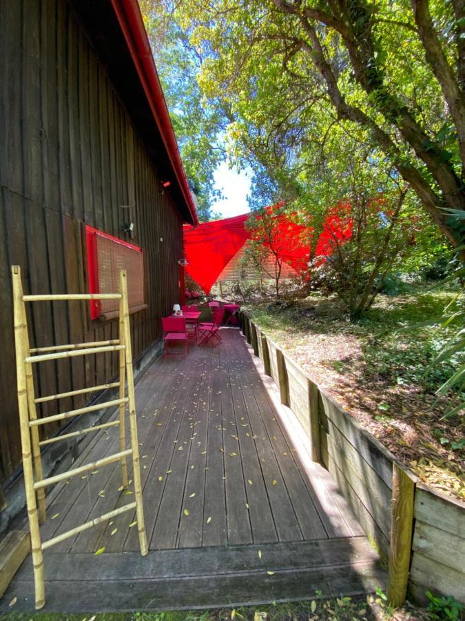 Apartmán Le Loft Au-Dessus Des Pins Lacanau Exteriér fotografie